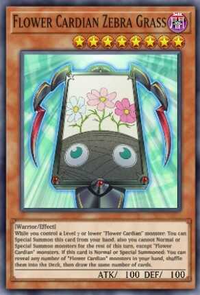 Flower Cardian Zebra Grass