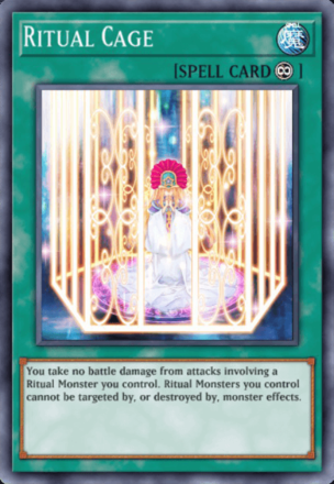 Ritual Cage