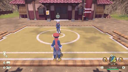 Pokemon Legends Arceus training grounds battle