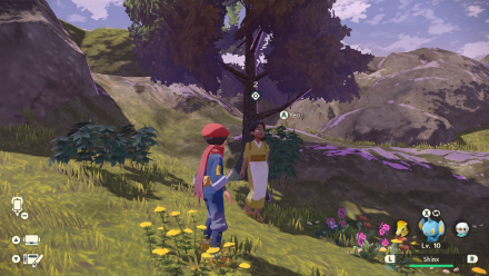 The Timbre of the Fields Location