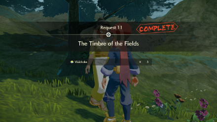 The Timbre of the Fields