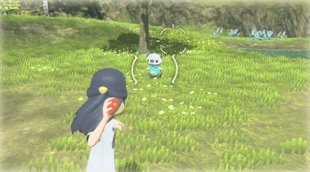 How to Catch Pokemon.png