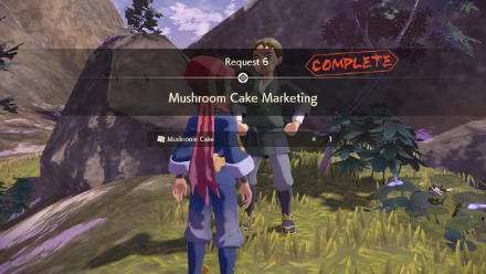 Mushroom Cake Marketing