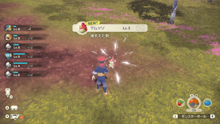 Catch Battle Wild Pokemon.png