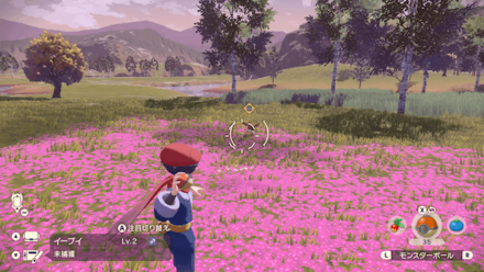 Pokemon Legends Arceus - Catch Respawn Evee