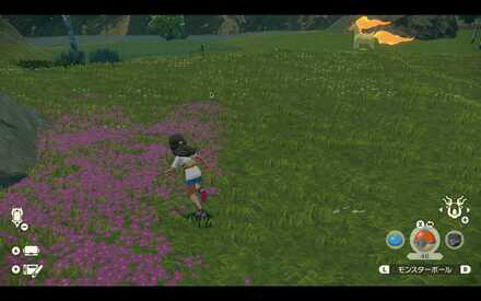 PLA - Save Before Approaching the Alpha Pokemon