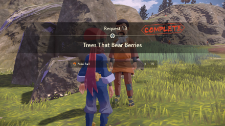 Trees that Bear Berries