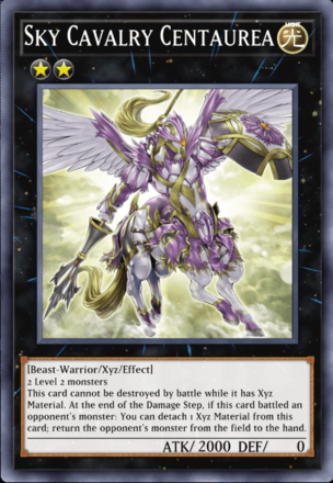 Sky Cavalry Centaurea