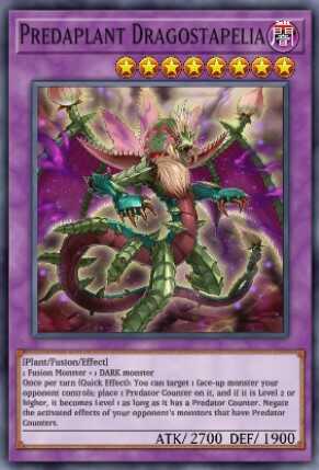 Predaplant Dragostapelia