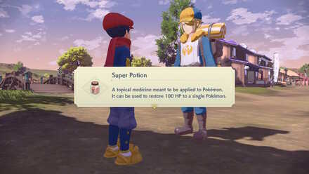 Pokemon Legends Arceus Super Potions