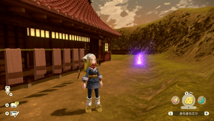 Jubilife Village Wisp 3 - Behind Training Grounds