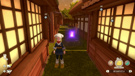 Jubilife Village Wisp 6 - Middle of Four Houses