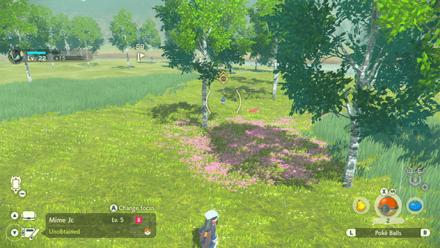 Pokemon Legends Arceus - Mime Jr Overworld Location