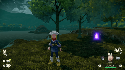 Wisp 9 Actual Location.png