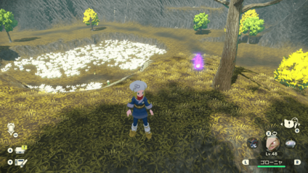 Wisp 14 Actual Location.png