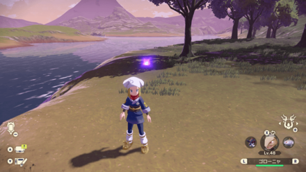 Obsidian Fieldlands Wisp 17