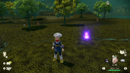 Wisp 16 Actual Location.png