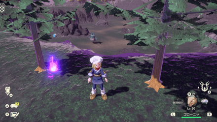 Coronet Highlands Wisp 9