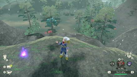 Coronet Highlands Wisp 11