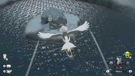 Lake Acuity Pokemon Legends Arceus