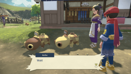 PLA Hippopotas of Both Sexes