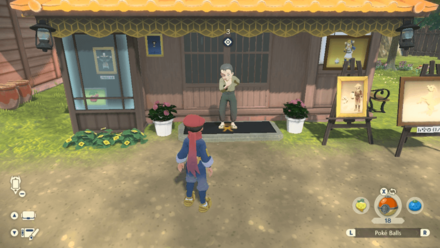 The Pokemon in the Woodland Photo Location