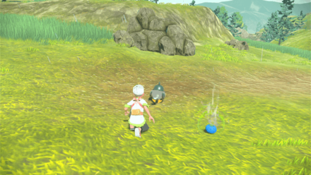 Get Closer to Pokemon