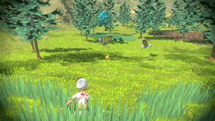 Honey Preferred Food