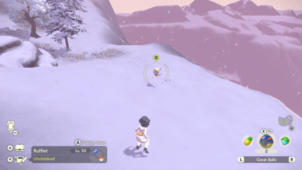 Pokemon Legends Arceus - Rufflet Snowpoint Temple Overworld Location