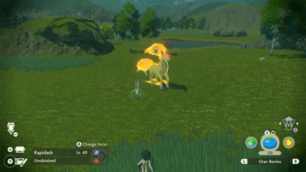 Pokemon Legends Arceus - Rapidash Horseshoe Plains Overworld Location