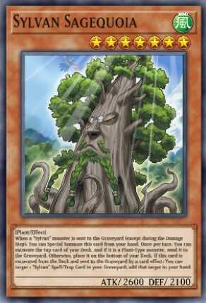 Sylvan Sagequoia