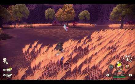 Alpha Pachirisu Location