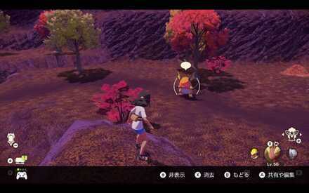 Alpha Raichu Location