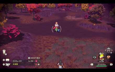 Alpha Roserade Location