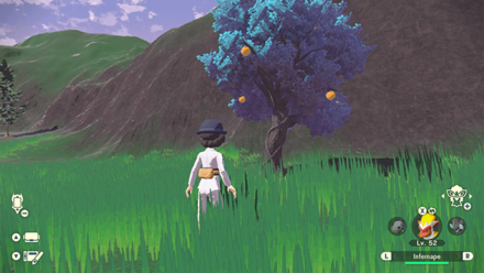 Pokemon Legends Arceus - Razz Berry Tree Aipom Hill Cobalt Coastlands