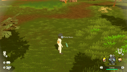 Pokemon Legends Arceus - Plump Beans Overworld Location
