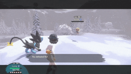 Pokemon Legends Arceus - Catch or Defeat Rufflet