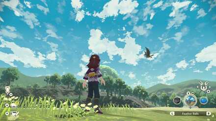 Follow their flight path