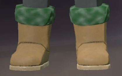 Footwear Pine.png