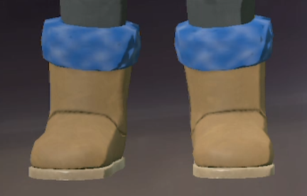 Footwear Sapphire.png