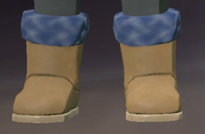 Footwear Indigo.png