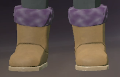 Footwear Amethyst.png