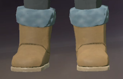 Footwear Blue Spruce.png