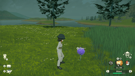 Pokemon Legends Arceus - Bugwort Windswept Run Overworld Location