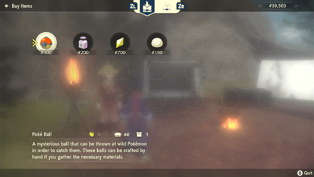 Base Camp General Store