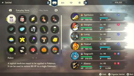 Base Camp Heal Pokemon