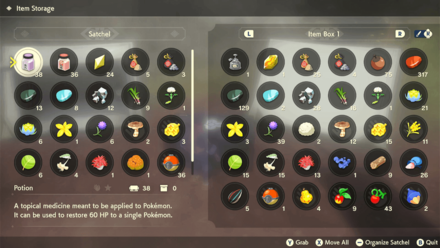 Base Camp Item Storage