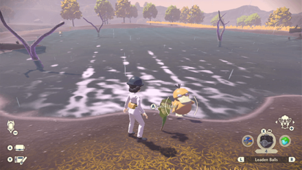 Pokemon Legends Arceus - Caster Fern Golden Lowlands Overworld Location