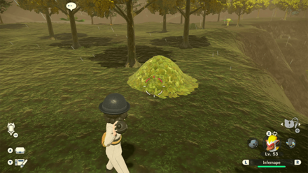 Pokemon Legends Arceus - Destroy Leaf Piles to Obtain Springy Mushroom