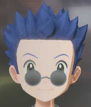 Eyewear Blue Spruce.png